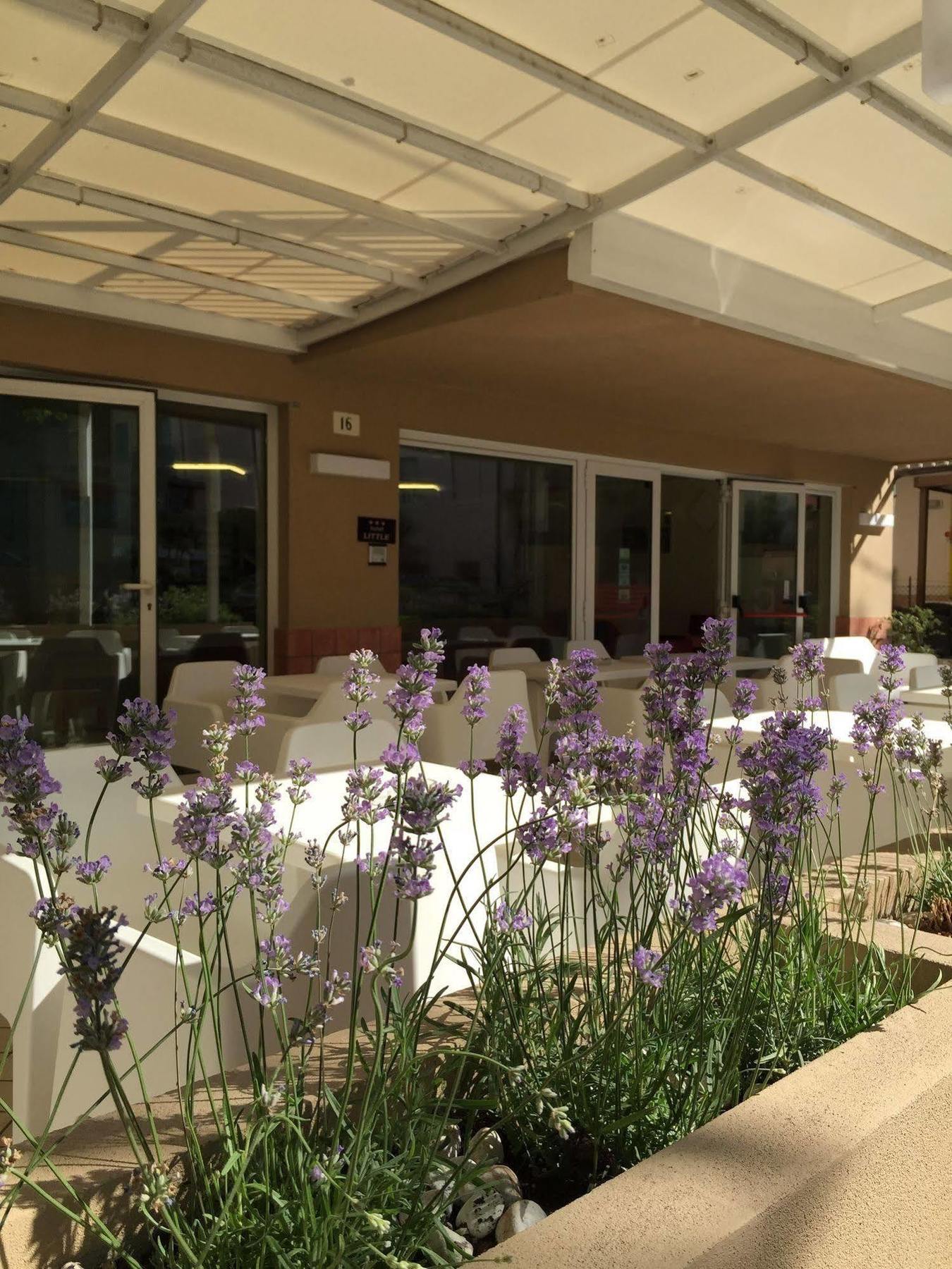 Hotel Little Rimini Esterno foto
